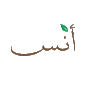 06-anas